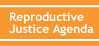 Reproductive Justice Agenda